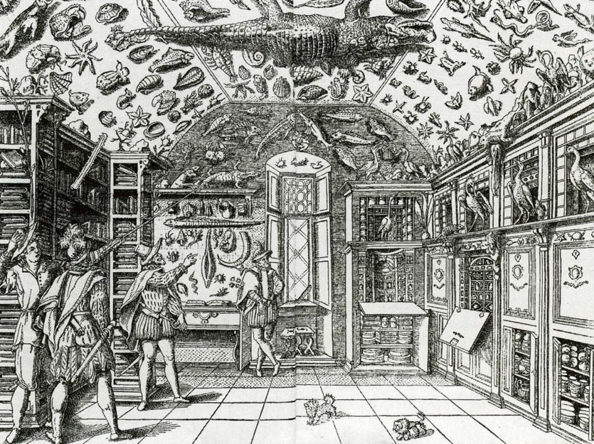 A "Wunderkammer" or Cabinet of Curiosities was the first form of a museum that became popular in 16th Century Europe. They were characterized by room crammed full of cool stuff. This is not a good model for exhibiting your collections.